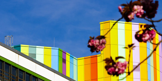 Bunte Gebäude stehen hinter pink blühenden Blumen auf dem Campus Essen der Universität Duisburg-Essen.