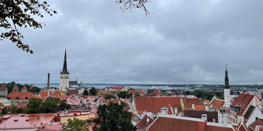 View over Tallinn's old town with red tiled roofs, historic houses and several church towers. The sea and harbour facilities can be seen in the background. The sky is cloudy, and autumnal tree branches frame the cityscape in the foreground.